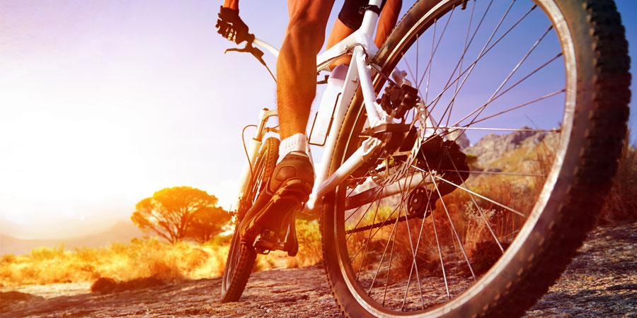 Indústria de bicicletas